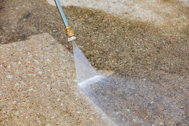 Best Spring Cleaning  in Quitman, TX